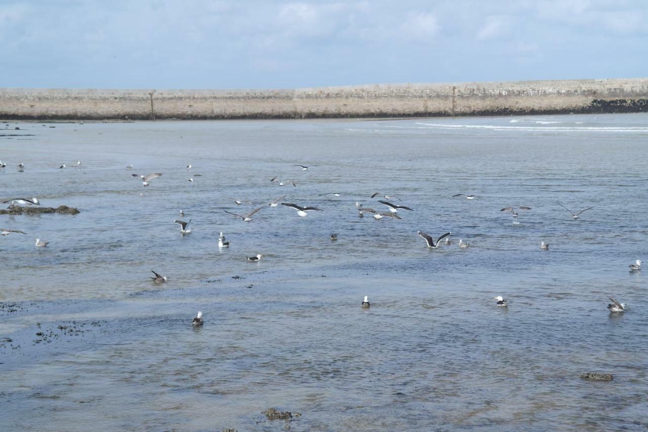 Appartement Cosy Bord De Mer Port-en-Bessin-Huppain Ngoại thất bức ảnh